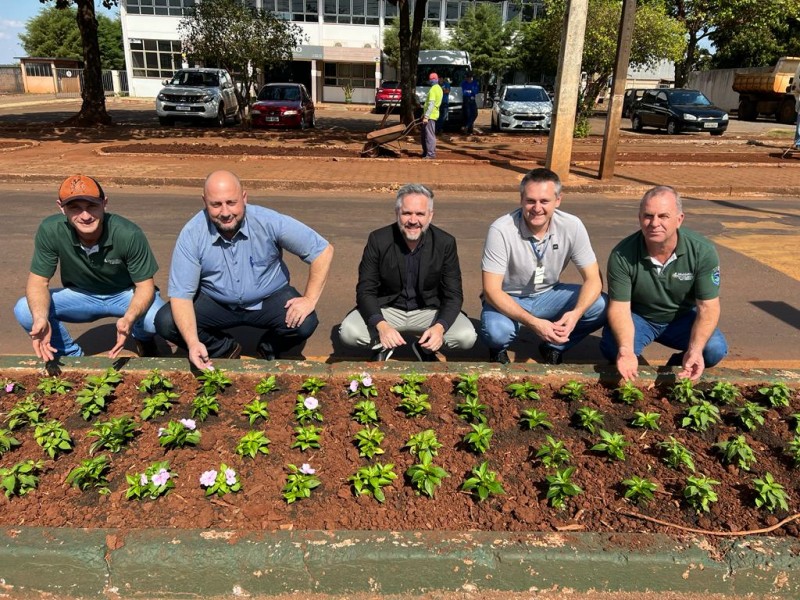 Projeto Florir Nova Fase Revitaliza Os Canteiros Centrais Da Avenida