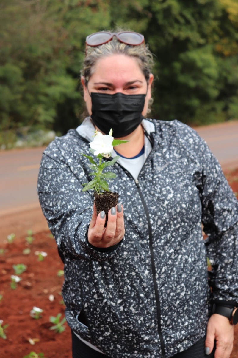 PROJETO FLORIR Nova Fase Revitaliza Os Canteiros Centrais Da Avenida