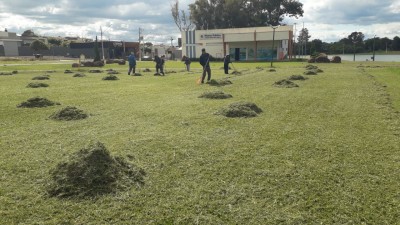 OS TRABALHOS NÃO PARAM- Prefeitura realiza corte de grama no Lago Municipal