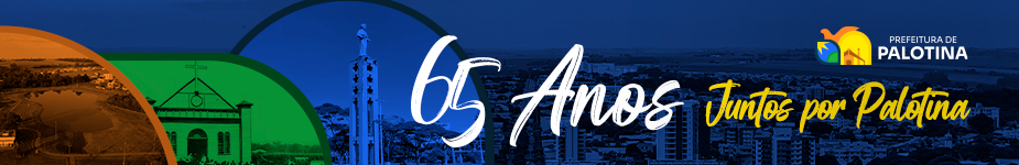 aniversario palotina