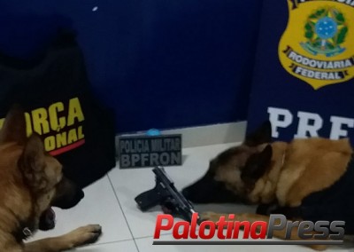 Operações do BPFron na fronteira resultam em apreensão de entorpecente, arma de fogo e produtos descaminhados