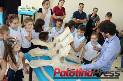 Palotina recebe exposição itinerante “Somos Todos Natureza”