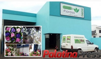 Floricultura Jardim floraso, os melhores preços você encontra aqui. Confira nossas promoções. 