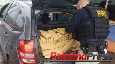 PRF apreende mais de 264 quilos de maconha em Quatro Pontes (PR)