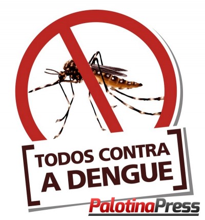 Índice de infestação do mosquito Aedes é de 3,2% em Palotina