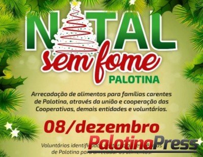 Natal sem Fome Palotina, abrace essa causa e colabore.