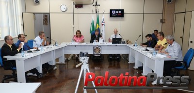 Vereadores de Palotina aprovam projetos e apresentam sugestões