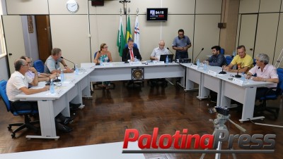 Vereadores de Palotina aprovam projetos em sessão extraordinária