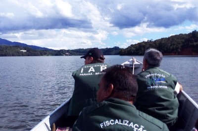 Lei proíbe pesca e comercialização de dourado por 8 anos no Paraná