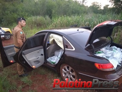 Terra Roxa – Após fuga em alta velocidade, contrabandista é preso com veículo carregado de veneno.