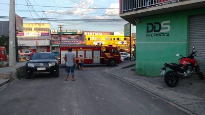 Abelhas atacam oficina mecânica, matam dois cachorros e deixam duas pessoas feridas