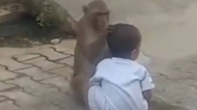 Macaco ‘sequestra’ criança para ter com quem brincar; assista