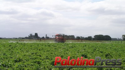 Sindicato Rural prepara curso que vai orientar sobre aplicação de defensivos