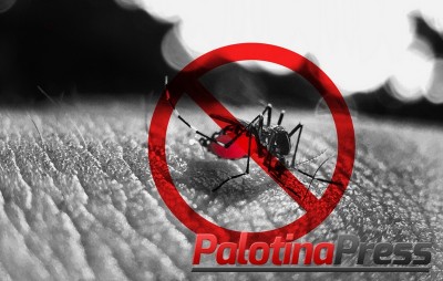 Índice de foco do mosquito da dengue aumenta em Palotina