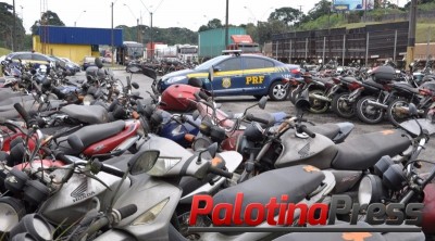 PRF promove leilão de quase 1800 veículos em Curitiba