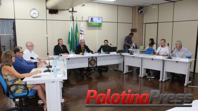 Vereadores aprovam primeiros projetos do Plano Diretor de Palotina