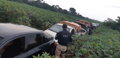 PRF, PF e Força Nacional apreendem R$ 375 mil em cigarros contrabandeados