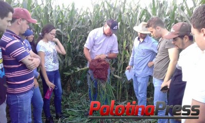 Parceria - Sociedade Rural leva palestra a acadêmicos de Agronomia da UFPR  