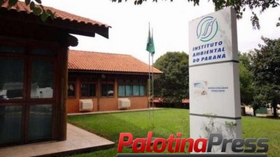 Funcionários do IAP são denunciados por lavagem de dinheiro e corrupção
