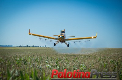 Sindicato Rural de Palotina defende aviação agrícola como ferramenta para resultados na produção 