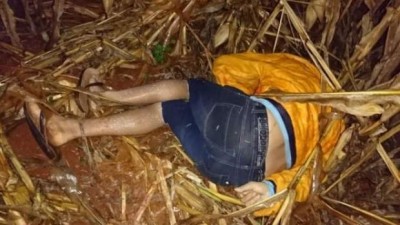 Homem é encontrado morto em meio a milharal no interior de Medianeira