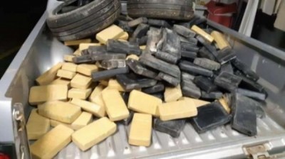 PRF apreende cerca de 250 quilos de cocaína e de crack em Maringá