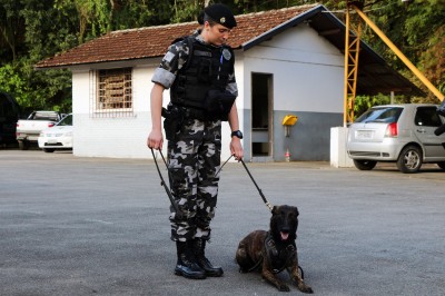 Canil da PM forma primeira mulher cinotécnica no Paraná