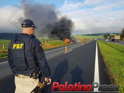 Atropelamentos e colisões frontais concentram 50% das mortes em rodovias no Paraná, aponta PRF
