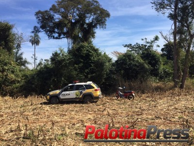 Palotina - Motoneta Honda Biz é recuperada pela PM. Menor de 14 anos foi o autor do furto.