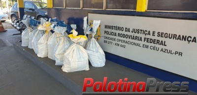 PRF e Polícia Civil recuperam carro roubado e apreendem 306 quilos de maconha em Céu Azul (PR)