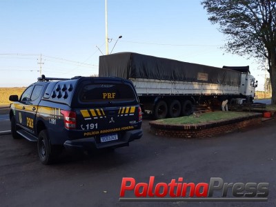 Carreta do Paraguaia é apreendida com cerca de 30.000 pacotes de cigarro