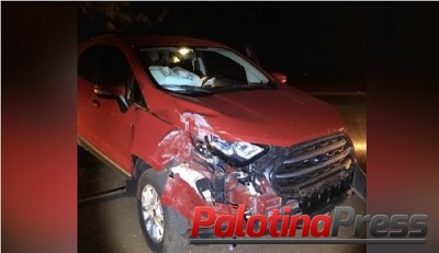 Mulher fica ferida após colidir carro contra arvore na PR 239 em Assis Chateaubriand