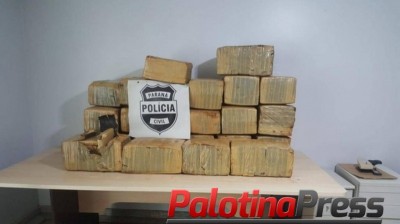 Quase meia tonelada de maconha é apreendida pela Denarc em Cascavel