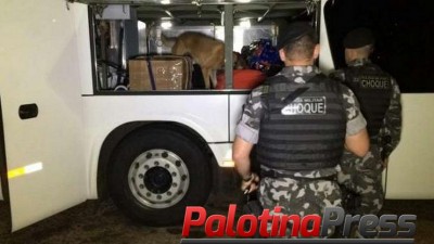 Operação Choque 28: equipes realizam ações na Rodoviária de Cascavel