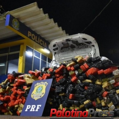 PRF e Polícia Civil apreendem quase 710 quilos de maconha em Santa Terezinha de Itaipu