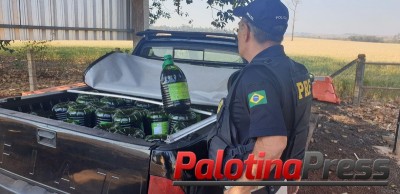 PRF apreende 1000 litros de azeites importados irregularmente