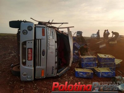 Caminhão carregado de frangos tomba entre Palotina e Assis