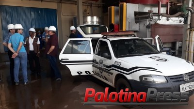 Terra Roxa: Policia Civil incinera 265 kg de maconha