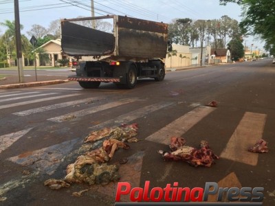Caminhão deixa cair restos de animais no centro de Nova Santa Rosa