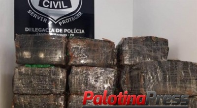 Caminhão é apreendido com mais de uma tonelada de maconha