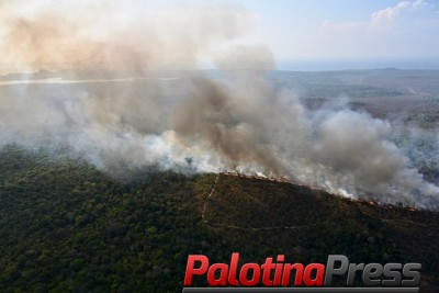 MPF suspeita que incêndio em Alter do Chão tenha iniciado em área invadida por grileiro condenado em 2018