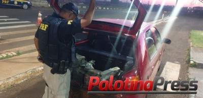 PRF apreende 89kgs de maconha