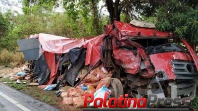Três pessoas morrem em colisão frontal de dois caminhões na PR-317