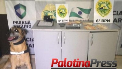 Choque apreende droga com ajuda do cão farejador