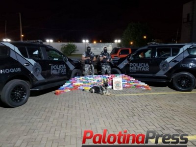 Grande apreensão de droga é realizada pela Polícia Militar no Paraná