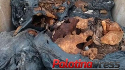 Grupo criminoso removia cadáveres e vendia terrenos de cemitério em Ibiporã