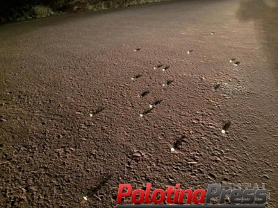 Cartuchos deflagrados de 9mm são encontrados espalhados em rodovia de Nova Santa Rosa