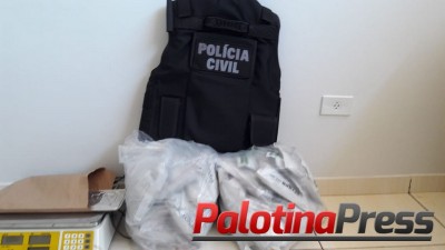 Polícia Civil de Palotina prende dois indivíduos, suspeitos, de integrar  quadrilha de roubo de veículos na região.