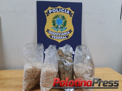 PRF descobre 2,8 toneladas de maconha em caminhão-tanque no Paraná