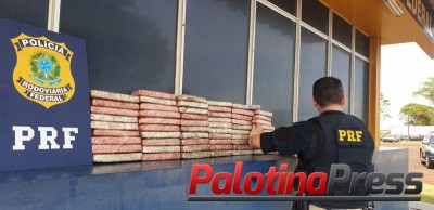 PRF prende casal de Chapecó (SC) com 45 quilos de maconha